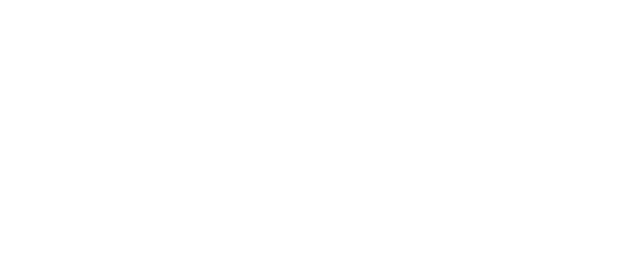 Berinca - People Spark Solutions client