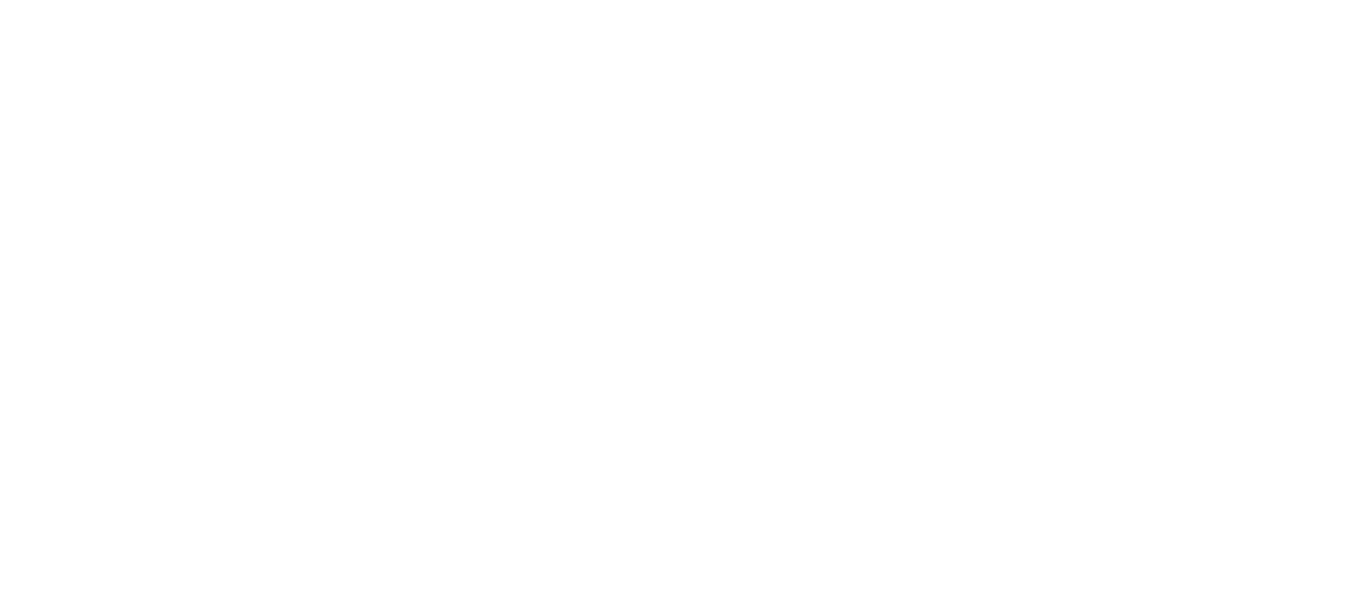 Connexin Live - People Spark Solutions client