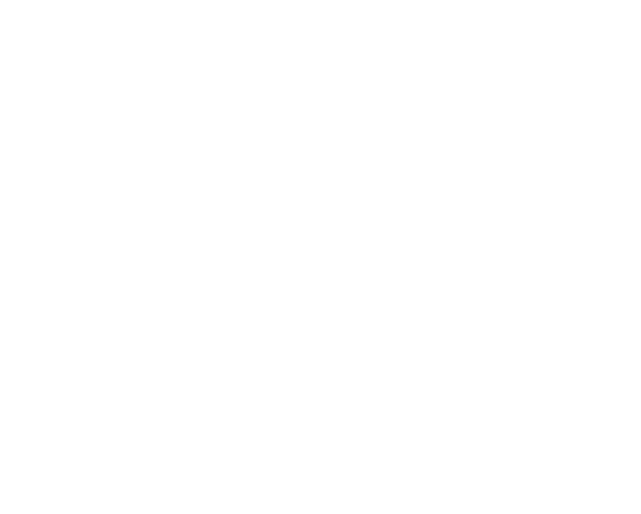 Pledge South Tyneside