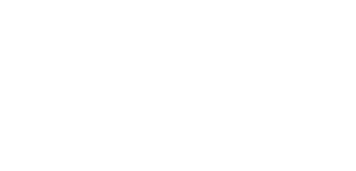Disability Confident Commited