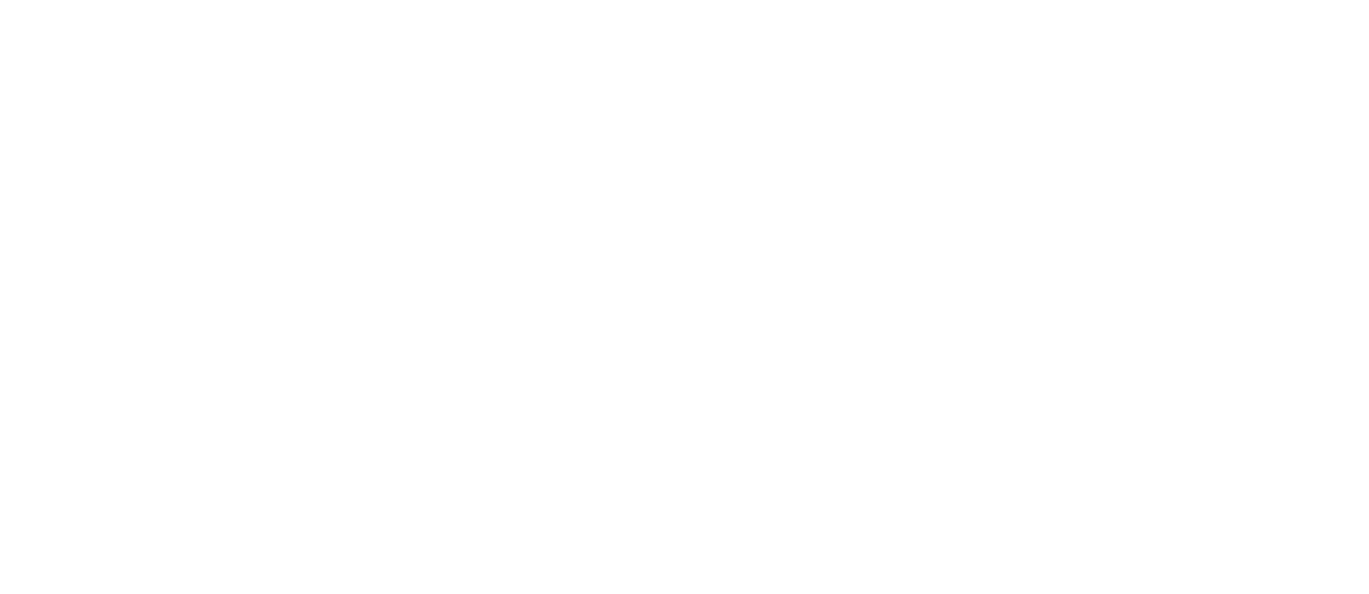 Barnsley Council - People Spark Solutions client