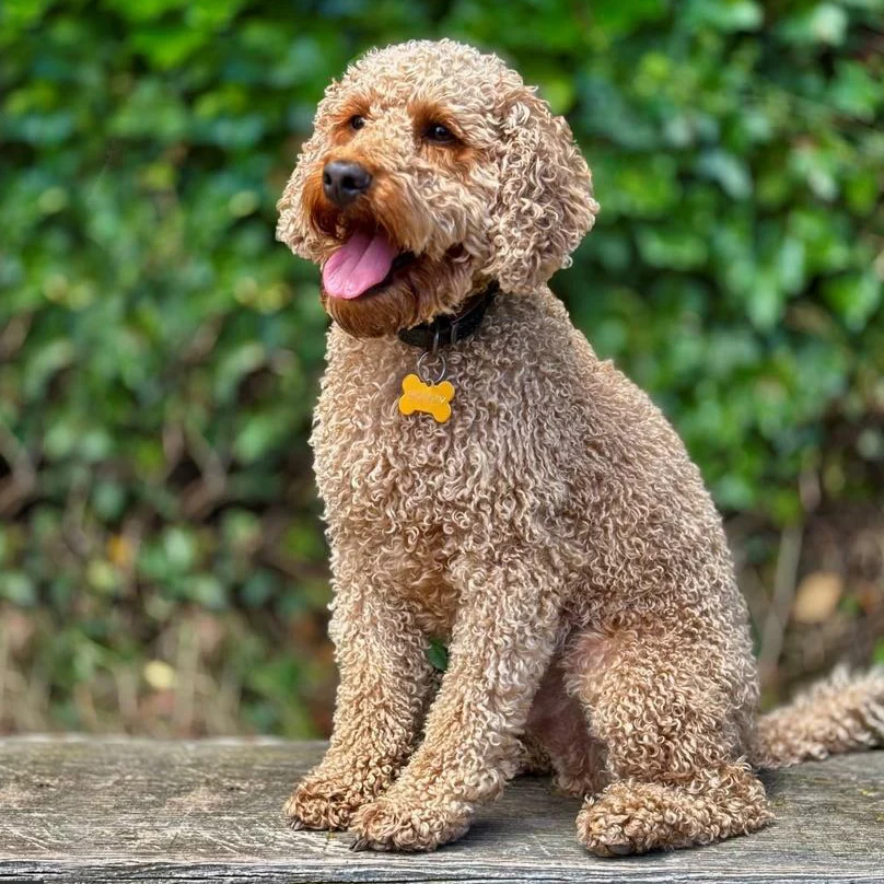 Happy - Team Coordinator at People Spark Solutions